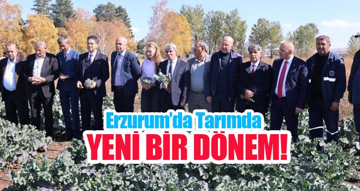 Erzurum’da tarımda yeni bir dönem: İkinci ürün Brokoli hasadı gerçekleştirildi!
