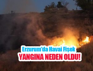 Erzurum’da havai fişek yangına neden oldu…