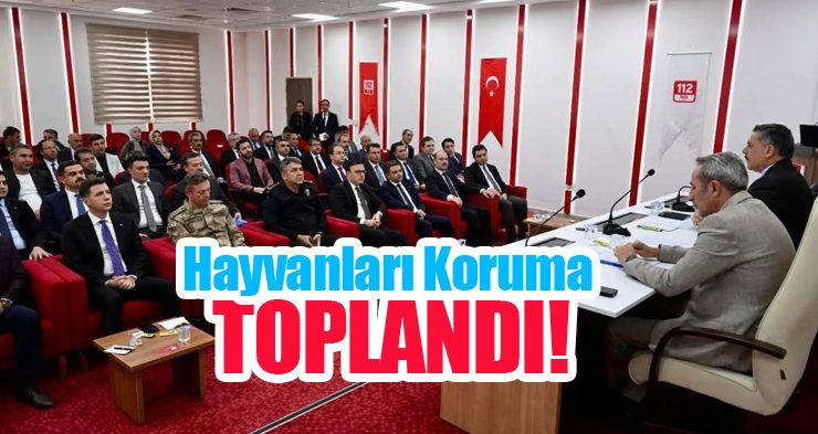Hayvanları koruma kurulu toplandı!..