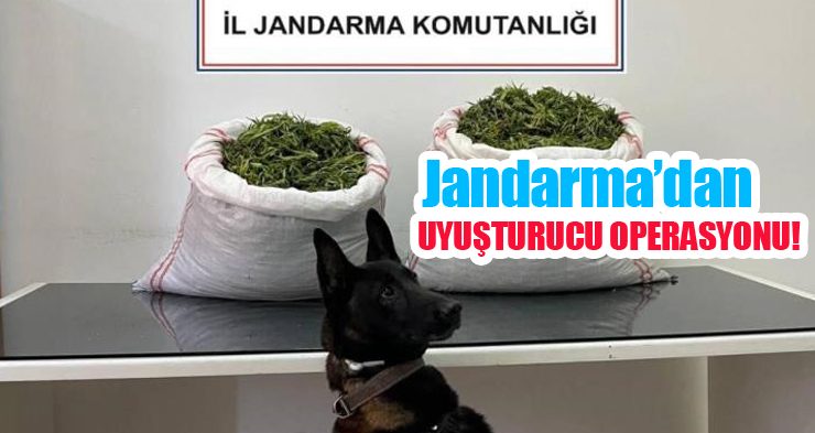 Jandarma’dan uyuşturucu operasyonu…