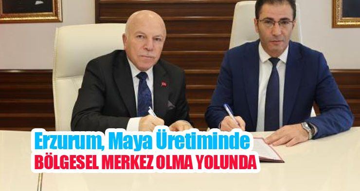 Erzurum, maya üretiminde bölgesel merkez olma yolunda…