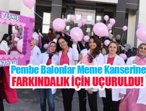 Pembe balonlar meme kanserine farkındalık için uçuruldu…