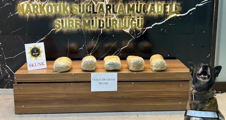 Erzurum’da 5 kilo 200 gram skunk maddesi ele geçirildi…