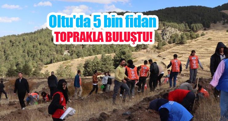 Oltu’da 5 bin fidan toprakla buluştu..