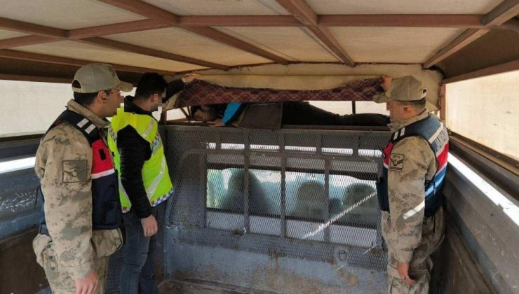 Bir ay içinde 28 düzensiz göçmen yakalandı…