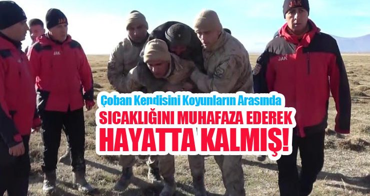 Çoban kendisini koyunların arasında sıcaklığını muhafaza ederek hayatta kalmış…