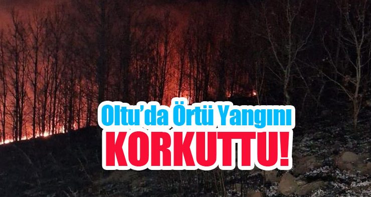Oltu’da örtü yangını korkuttu!
