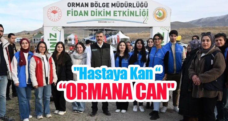 “Hastaya kan, ormana can”