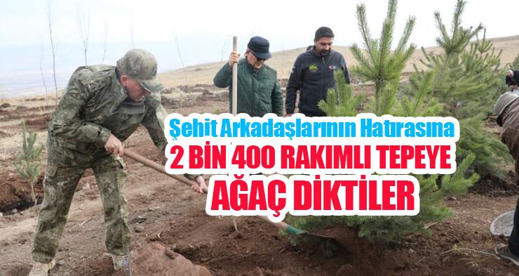 Şehit arkadaşlarının hatırasına 2 bin 400 rakımlı tepeye ağaç diktiler!…