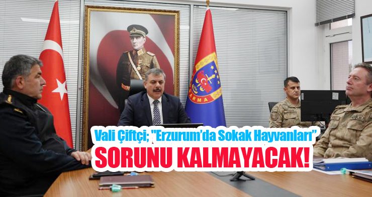 Vali Çiftçi; “Erzurum’da sokak hayvanları sorunu kalmayacak “