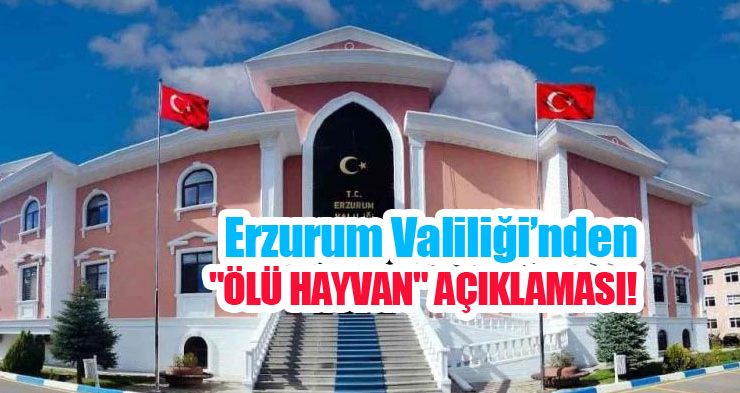 Erzurum Valiliği’nden “Ölü hayvan” açıklaması!..
