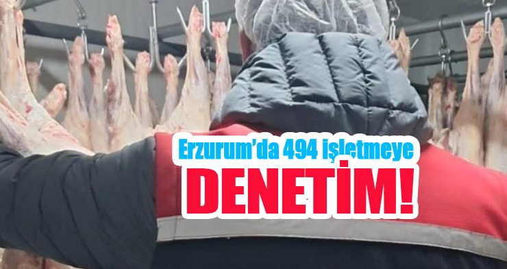 Erzurum’da 494 işletmeye denetim!