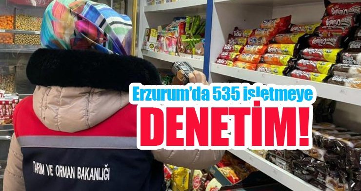 Erzurum’da 535 işletmeye denetim!