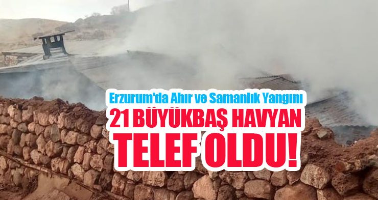 Erzurum’da ahır ve samanlık yangını: 21 büyükbaş havyan telef oldu…