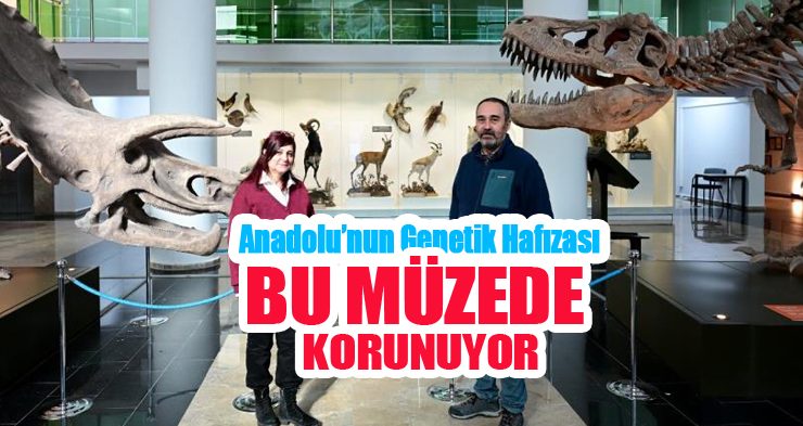 Anadolu’nun genetik hafızası bu müzede korunuyor…