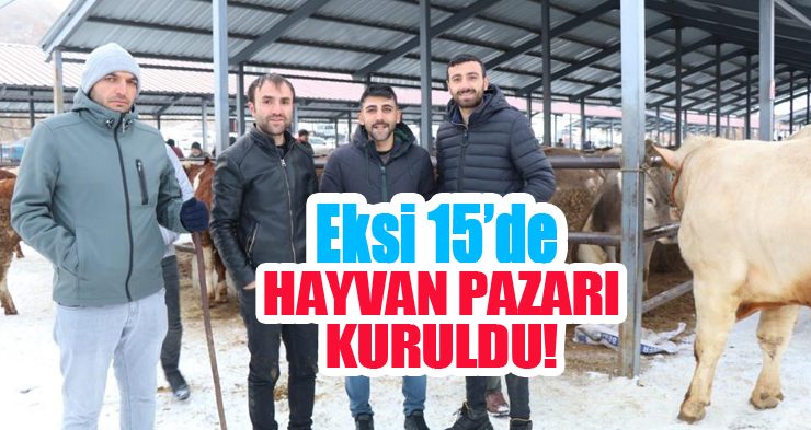 Eksi 15’de hayvan pazarı kuruldu…