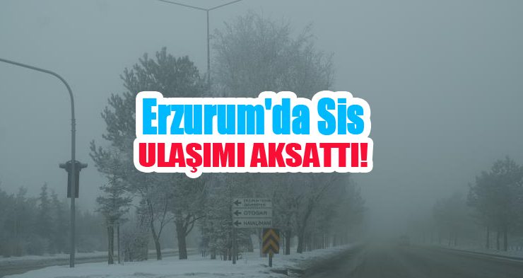 Erzurum’da sis ulaşımı aksattı!