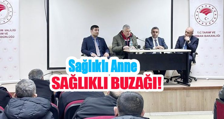 Sağlıklı anne sağlıklı buzağı!