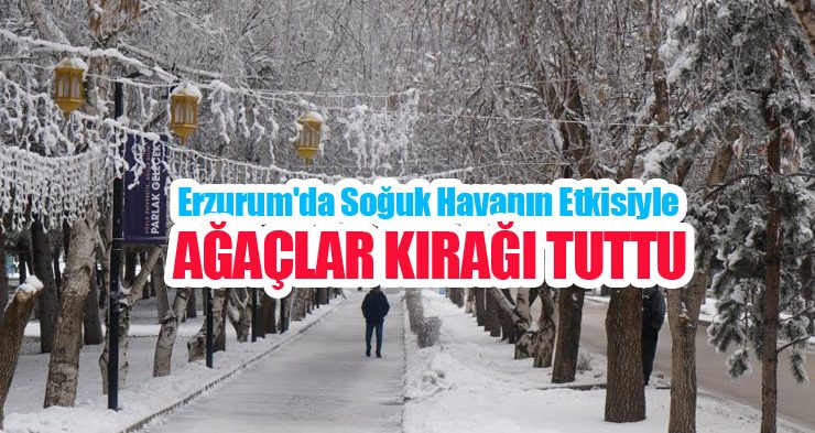 Erzurum’da soğuk havanın etkisiyle ağaçlar kırağı tuttu..