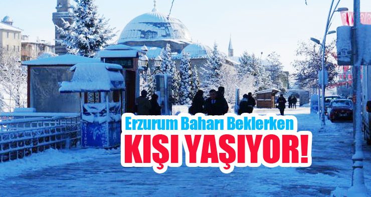Erzurum baharı beklerken kışı yaşıyor…