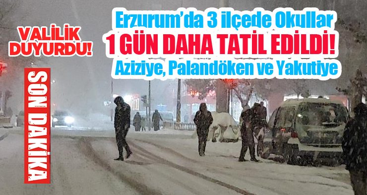Erzurum’da 3 ilçede okullar 1 gün tatil edildi…