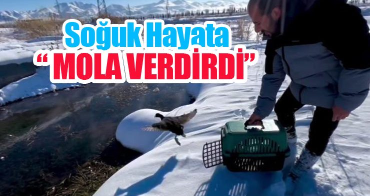 Soğuk hayata mola verdirdi!