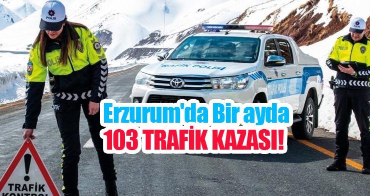 Erzurum’da bir ayda 103 trafik kazası…