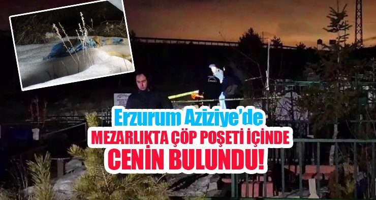 Mezarlıkta çöp poşeti içinde cenin bulundu…