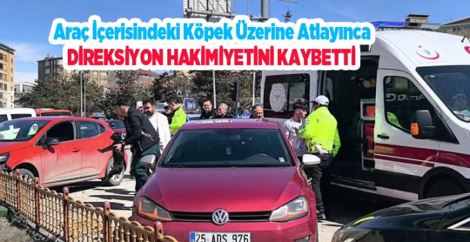 Araç içerisindeki köpek üzerine atlayınca direksiyon hakimiyetini kaybetti..