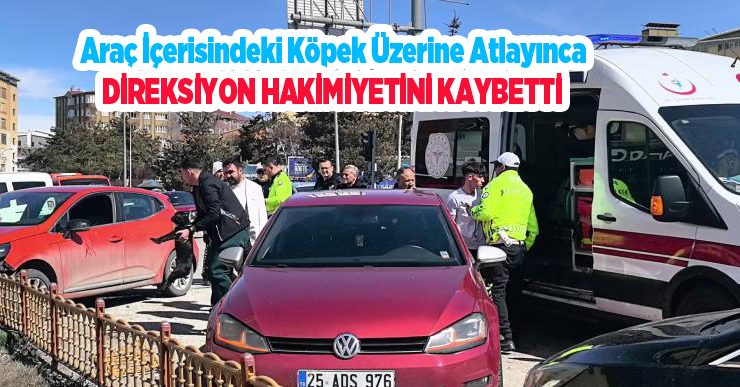 Araç içerisindeki köpek üzerine atlayınca direksiyon hakimiyetini kaybetti..
