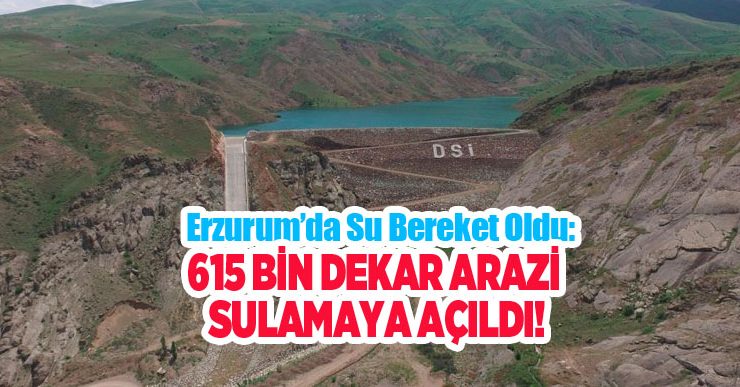 Erzurum’da su bereket oldu: 615 bin dekar arazi sulamaya açıldı..