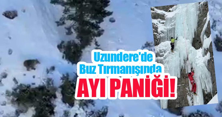 Uzundere’de buz tırmanışında ayı paniği…