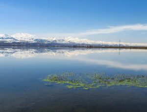 Meteorolojiden zirai don uyarısı..