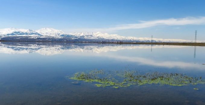 Meteorolojiden zirai don uyarısı..