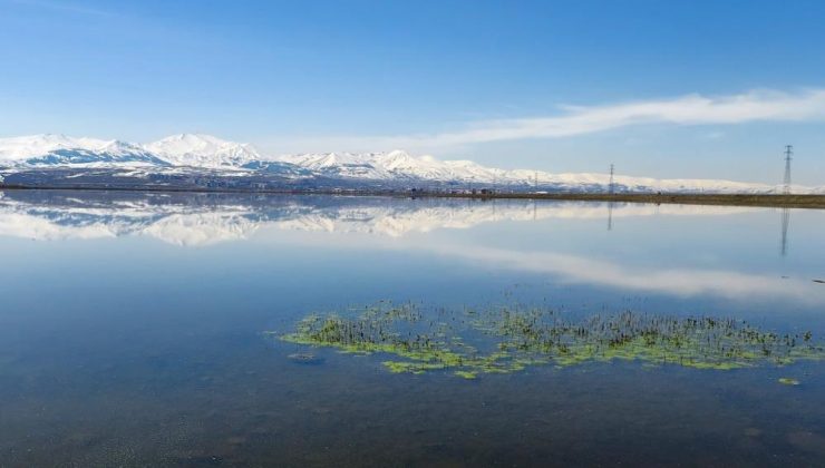 Meteorolojiden zirai don uyarısı..