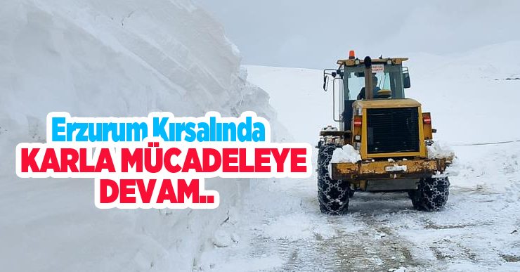 Erzurum kırsalında karla mücadeleye devam…