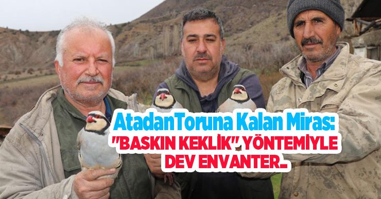 Atadan toruna kalan miras: “Baskın keklik” yöntemiyle dev envanter…