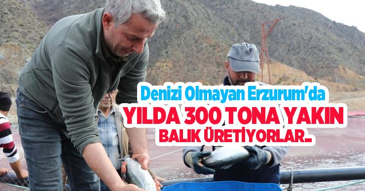 Denizi olmayan Erzurum’da yılda 300 tona yakın balık üretiyorlar…
