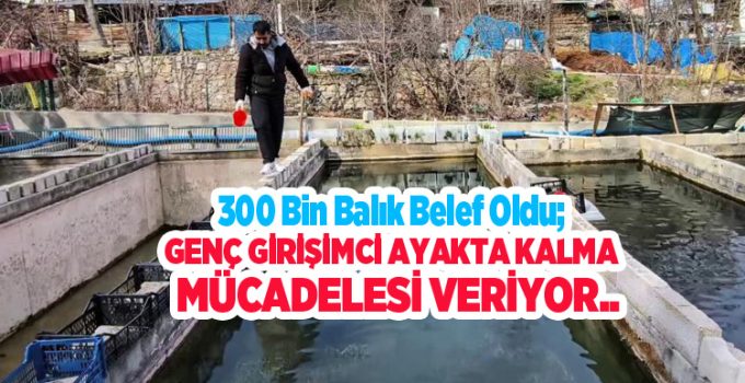 300 bin balık telef oldu; Genç girişimci ayakta kalma mücadelesi veriyor…