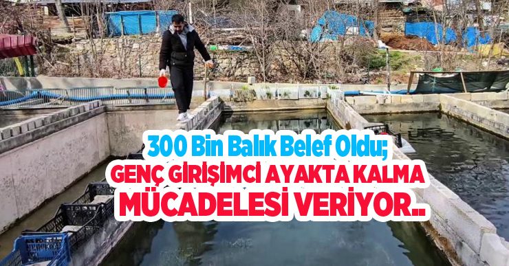 300 bin balık telef oldu; Genç girişimci ayakta kalma mücadelesi veriyor…