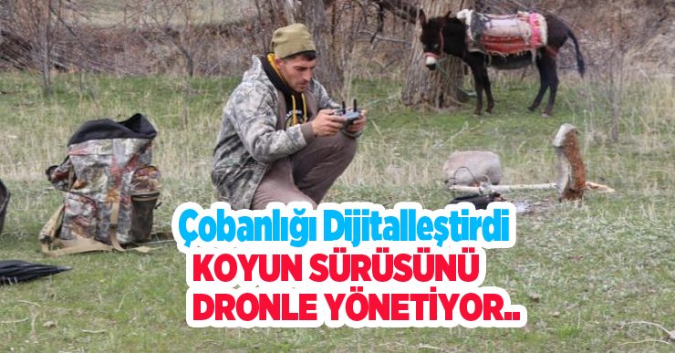 Saksağandan etkilendi, çobanlığı dijitalleştirdi, artık koyun sürüsünü dronle yönetiyor..