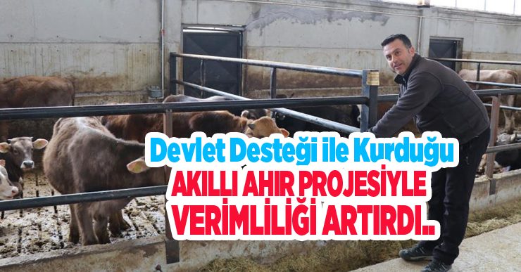 Devlet desteği ile kurduğu akıllı ahır projesiyle verimliliği artırdı…