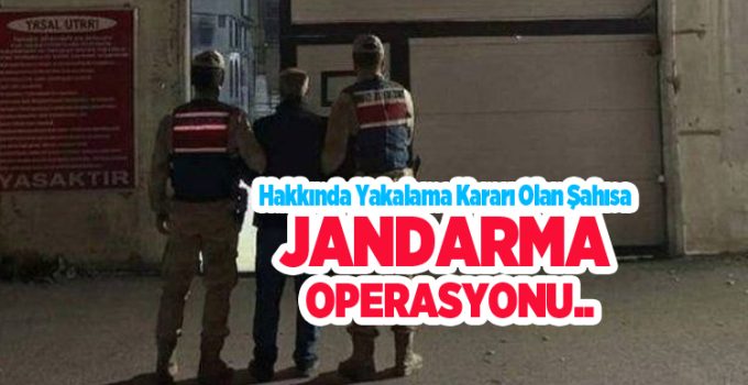 Hakkında yakalama kararı olan şahısa jandarma operasyonu…