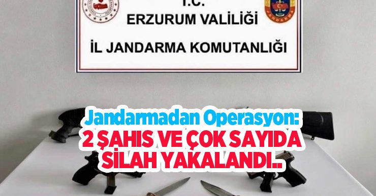 Jandarmadan operasyon: 2 şahıs ve çok sayıda silah yakalandı…