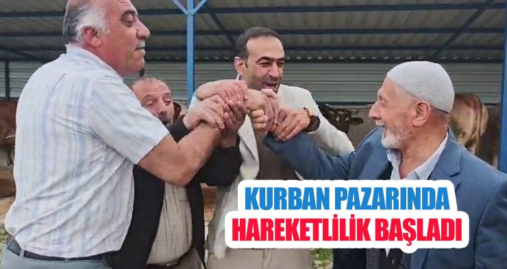 Kurban pazarında hareketlilik başladı
