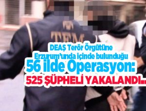 DEAŞ terör örgütüne 56 ilde operasyon: 525 şüpheli yakalandı…
