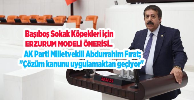 Başıboş sokak köpekleri için Erzurum modeli önerisi…