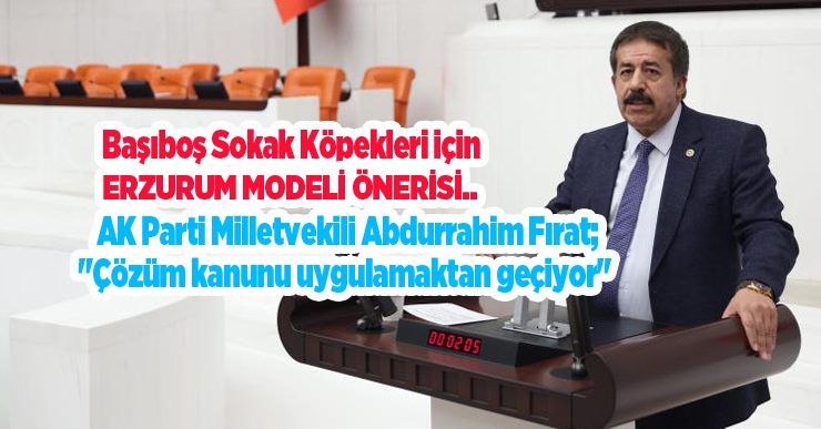 Başıboş sokak köpekleri için Erzurum modeli önerisi…