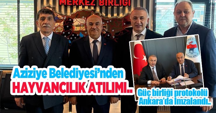 Aziziye Belediyesi’nden hayvancılık atılımı…