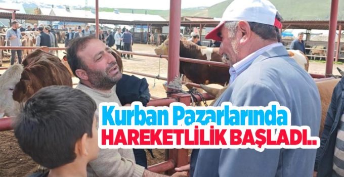 Kurban pazarlarında hareketlilik başladı..